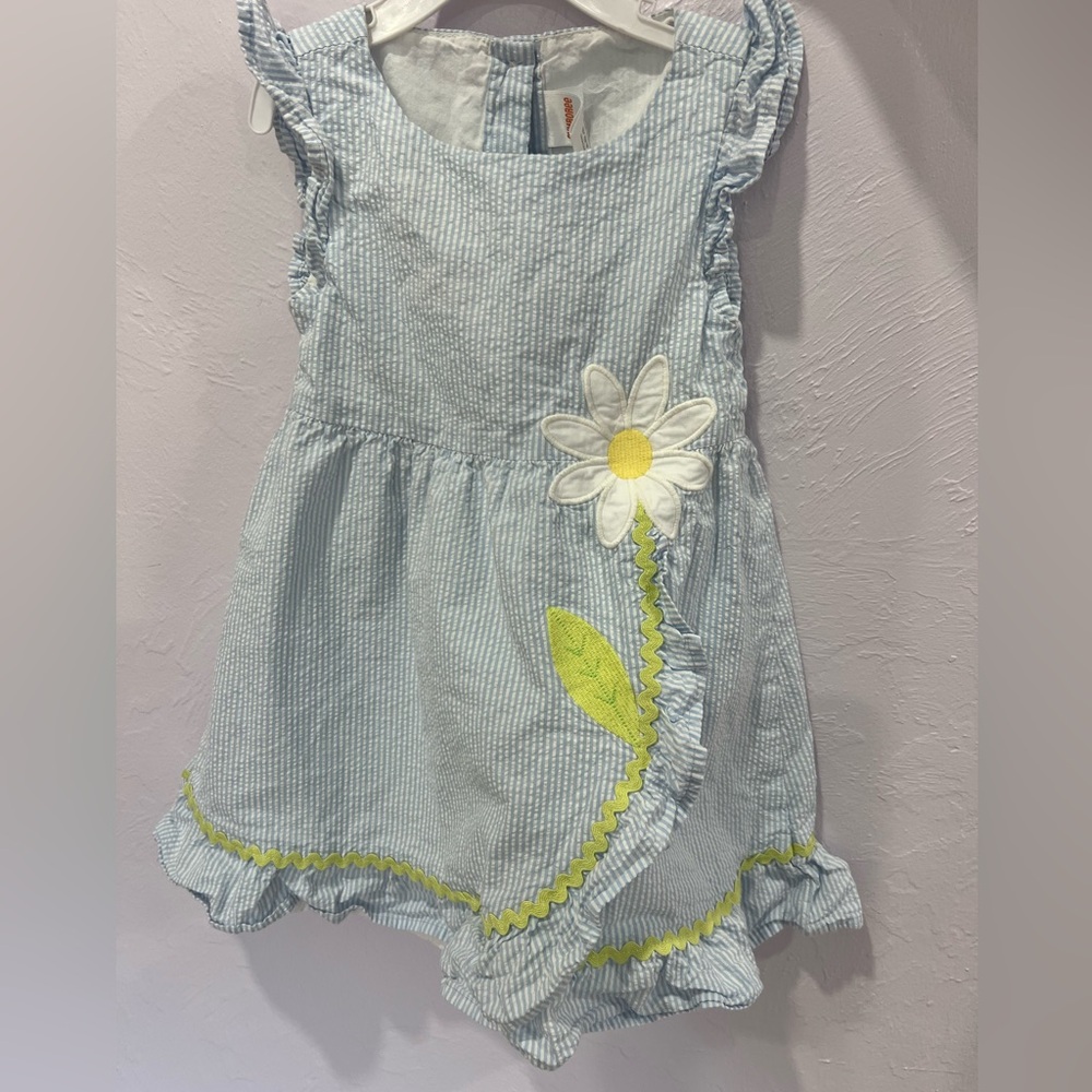 Embroided Daisy ruffle dress